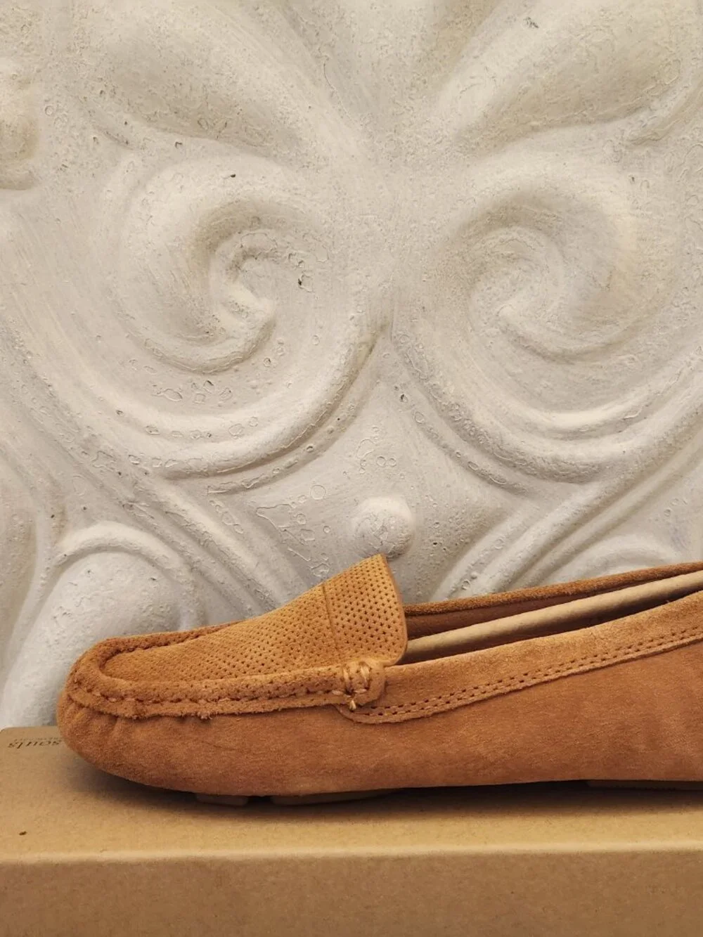 Gentle Sole 